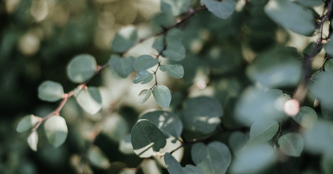 You Don’t Hack Your Way to Healing: Why Deep Listening Beats Quick Fixes